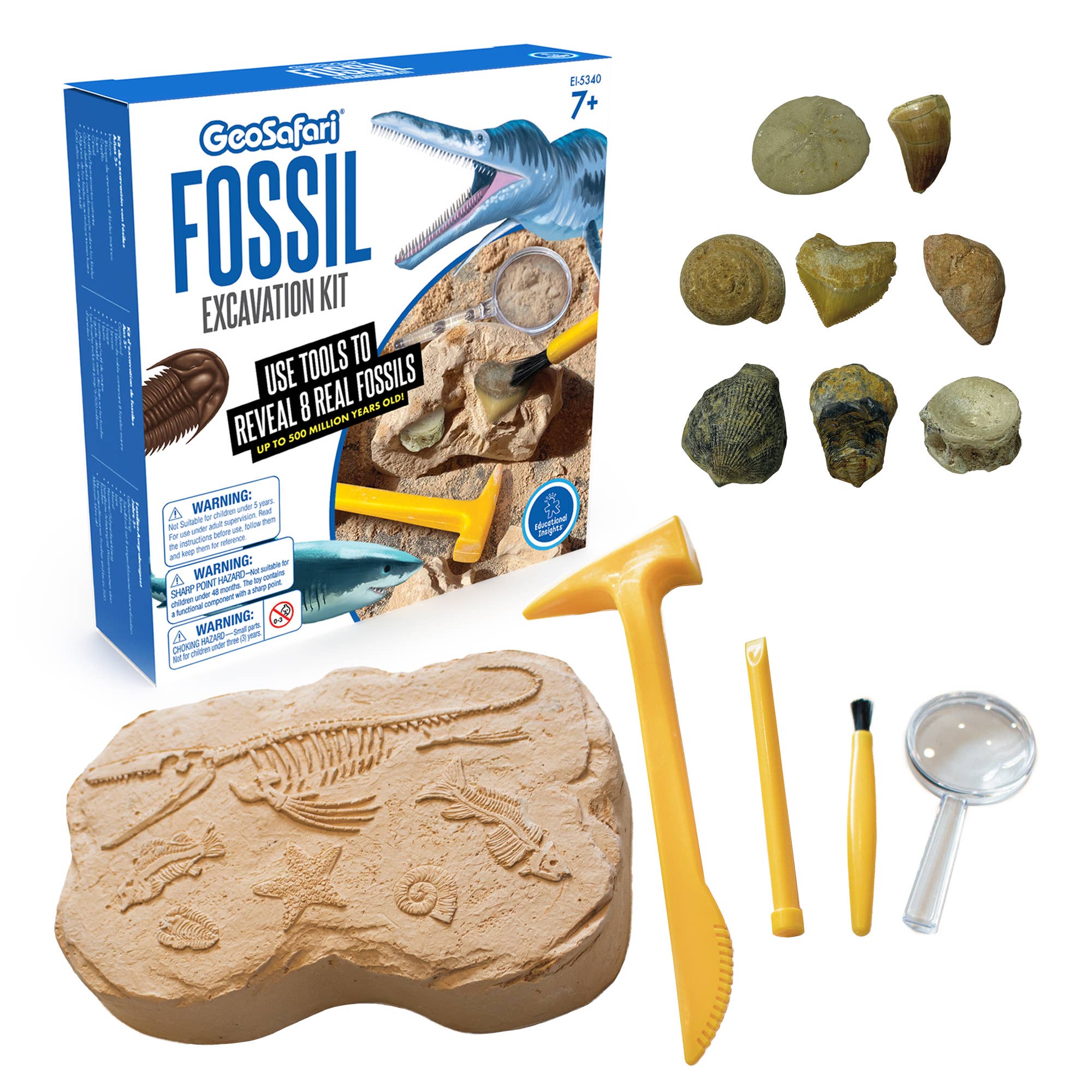 GeoSafari® Fossil Excavation Kit