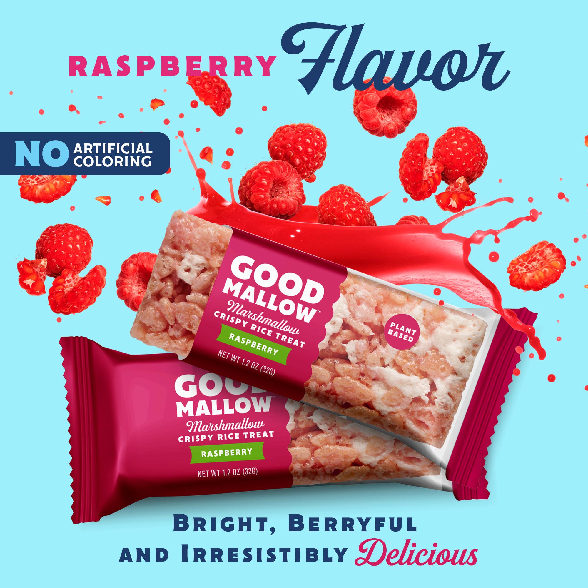 Vegan Rice Crispy Treats Individually Wrapped Box of 8