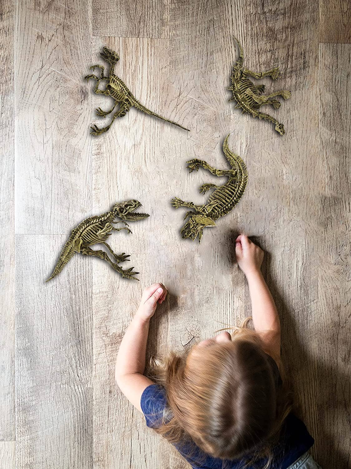 Fossil Excavation 4 in 1