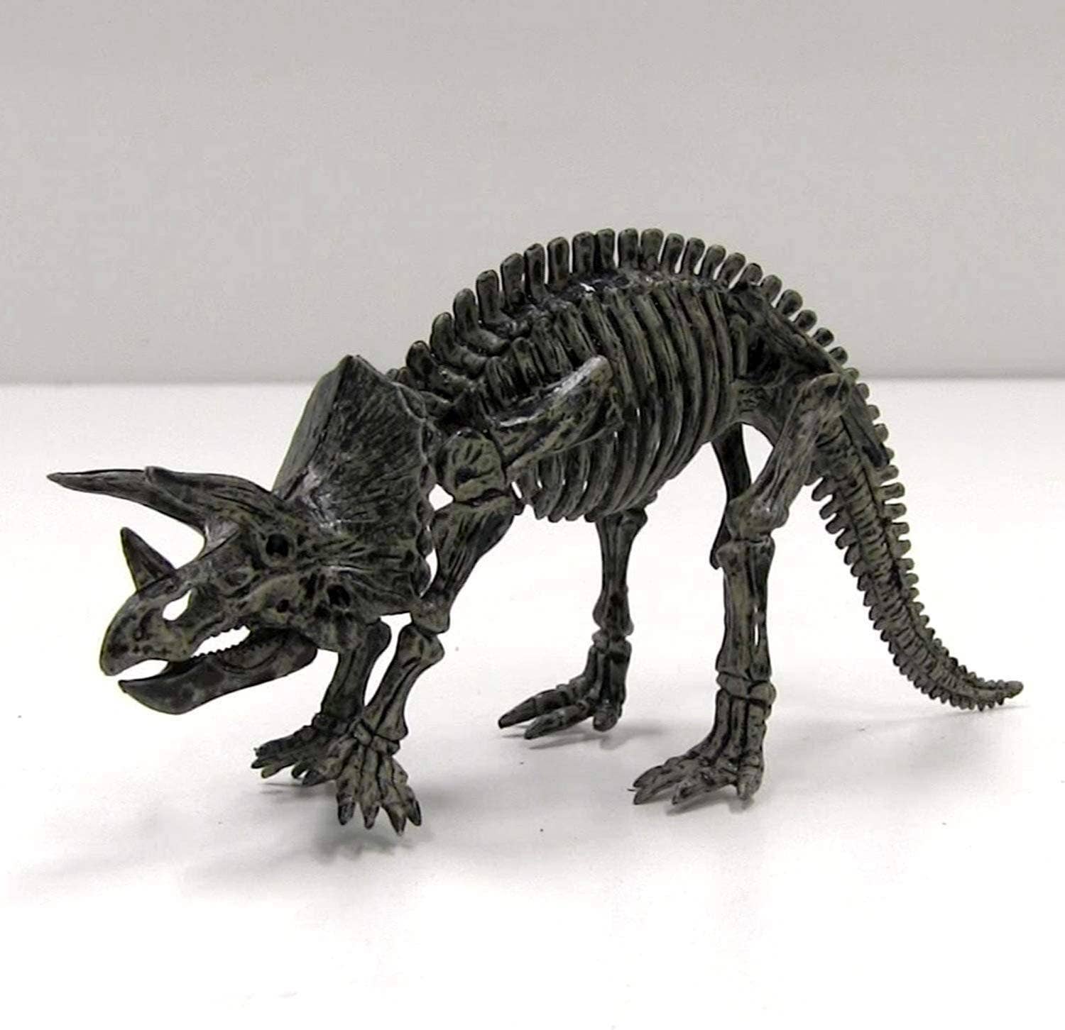 Fossil Excavation 4 in 1