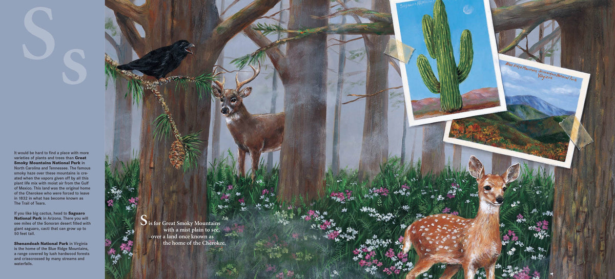 M is for Majestic: A National Parks Alphabet Picture Book