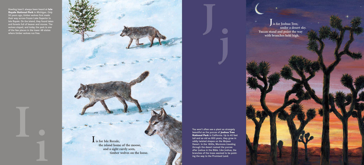 M is for Majestic: A National Parks Alphabet Picture Book