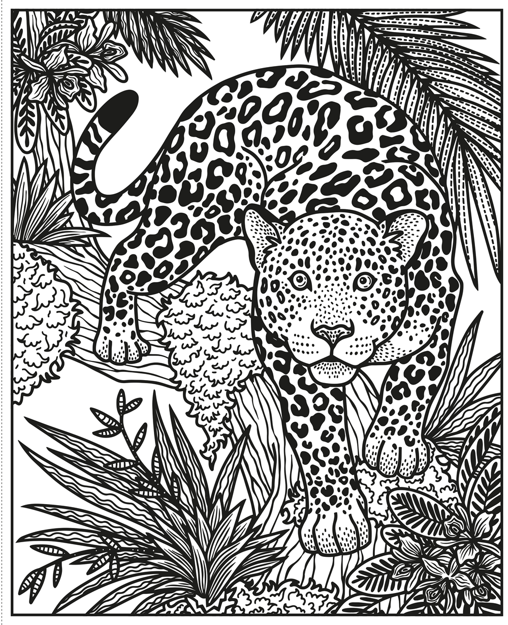 Wild Animals Magic Painting Book : Usborne