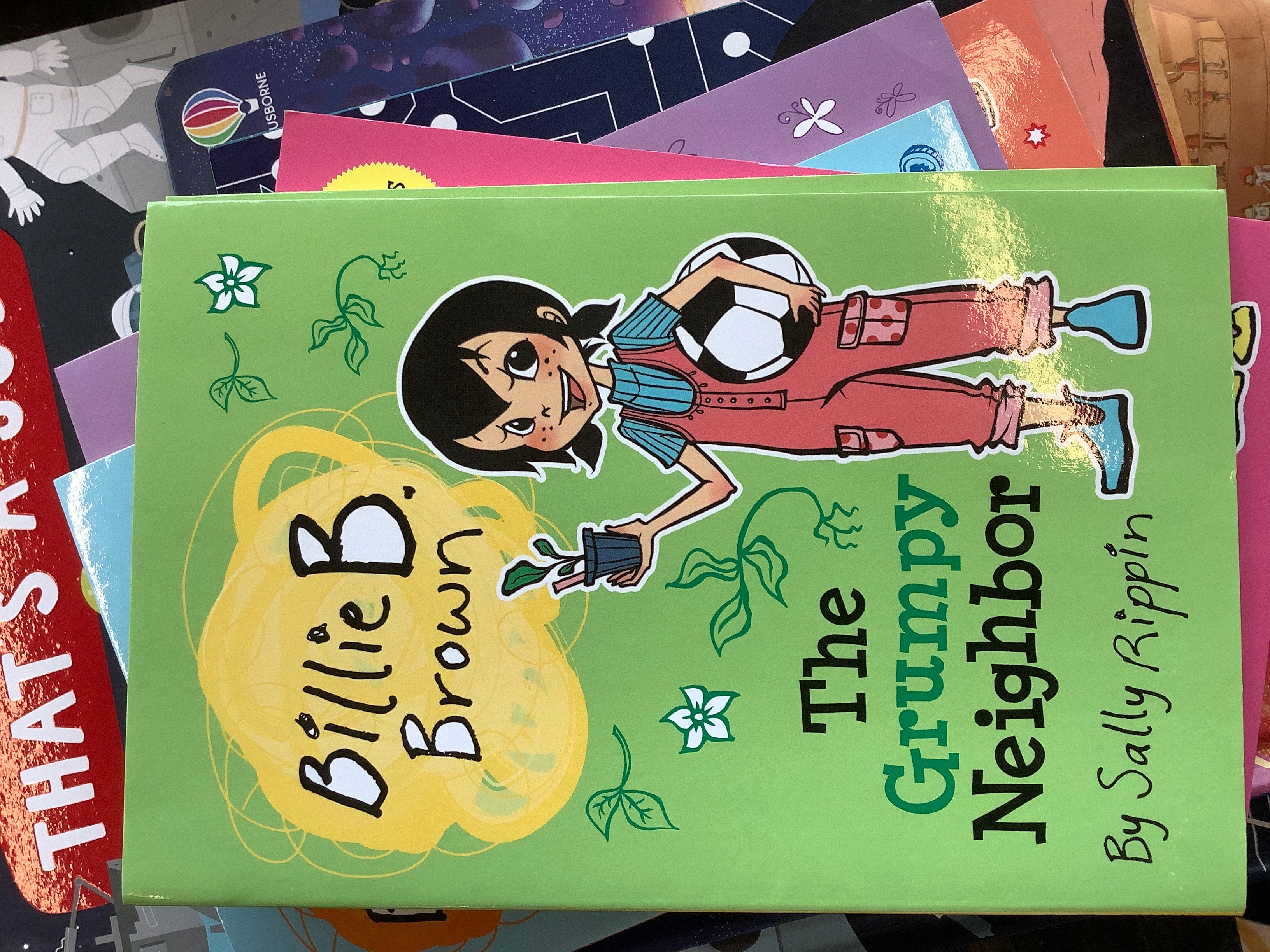 Billie B brown the grumpy neighbor