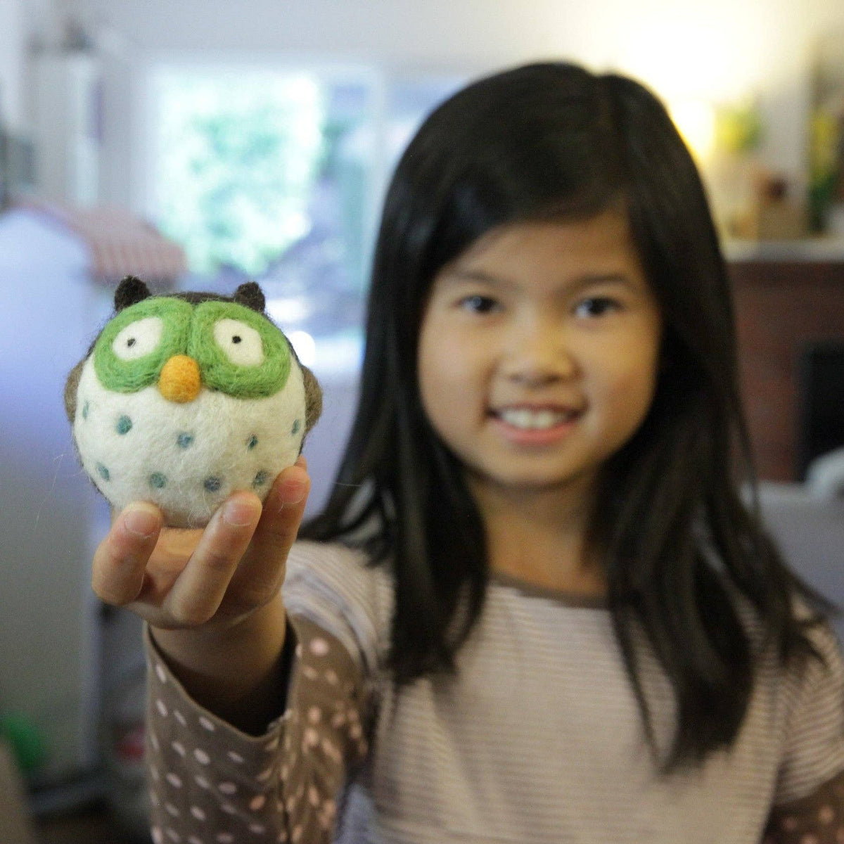 DIY Needle Felting Kit - Owl