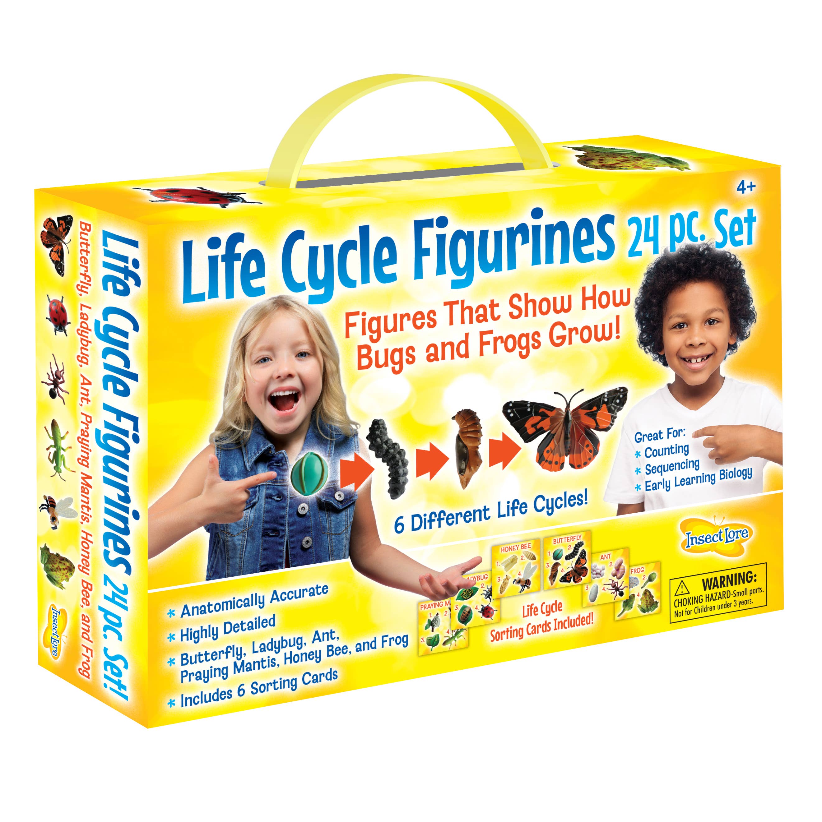 Life Cycle Figurines - 24 Piece Set