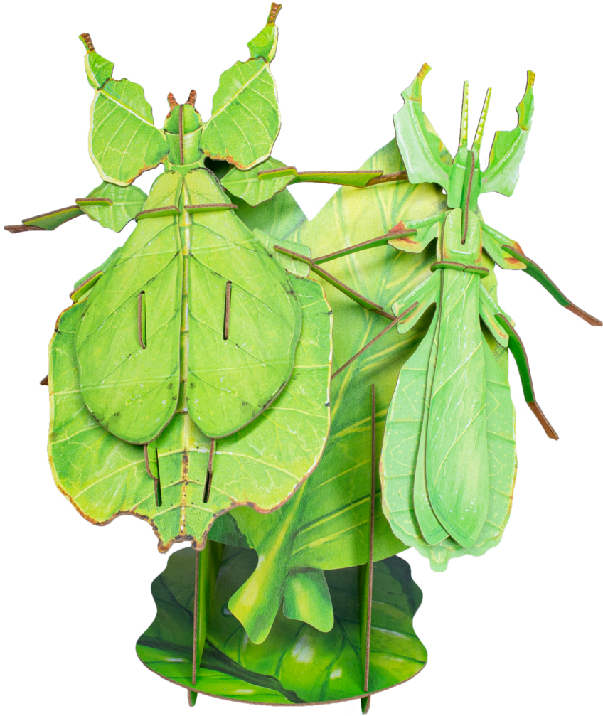 Leaf Insect 3D Puzzle - Bring Nature Home