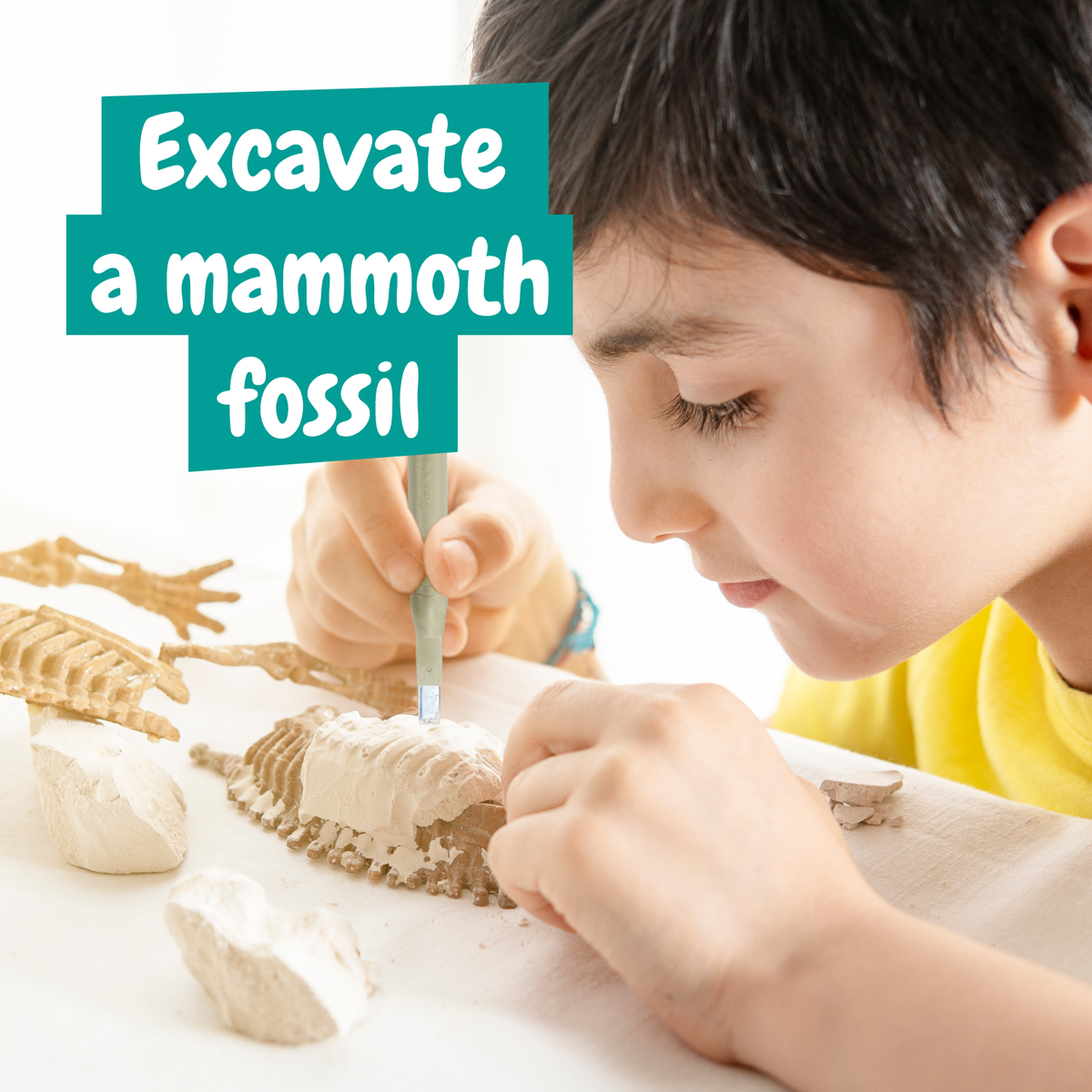 Mammoth Fossil Excavation - Toy for Kids (8 Languages)