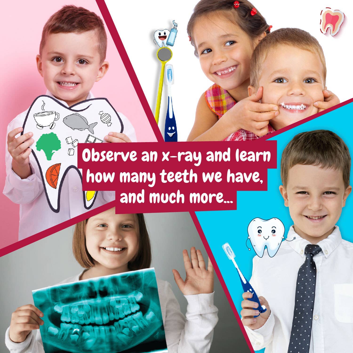 First Dentist Kit for Kids - Toy for Kids (7 languages)