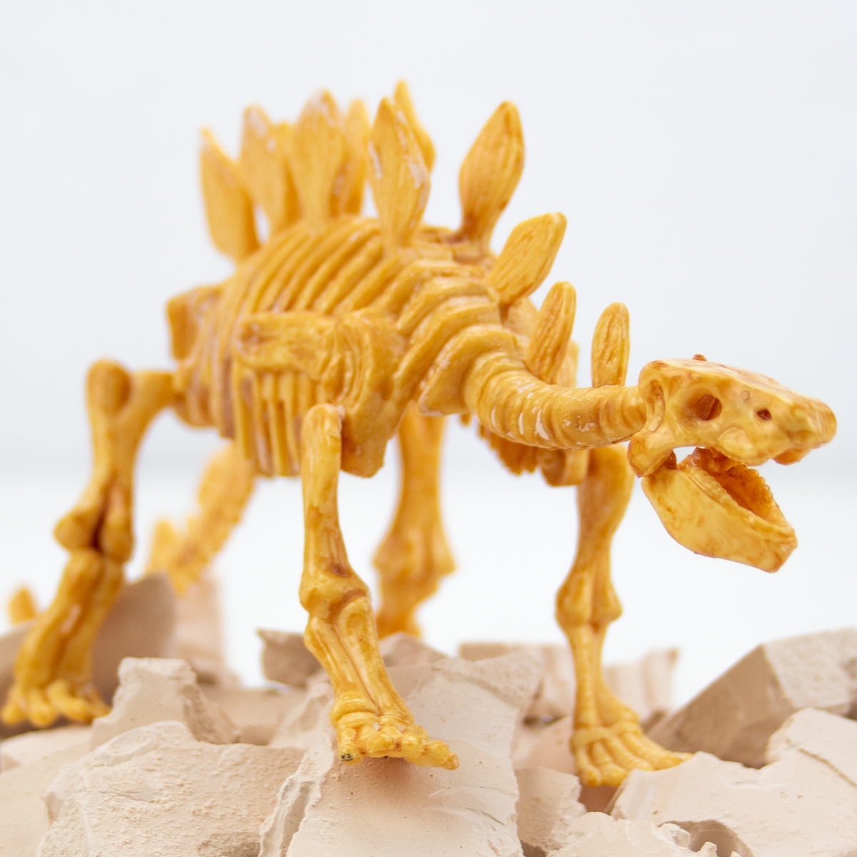 Stegosaurus Fossil Excavation - Toy for Kids (8 Languages)