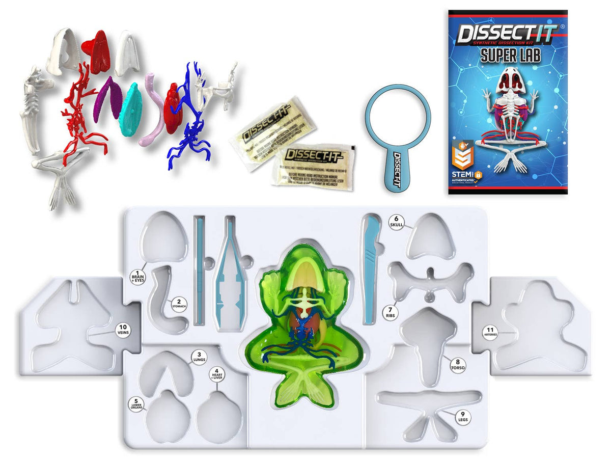 Dissect-It Frog Super Lab