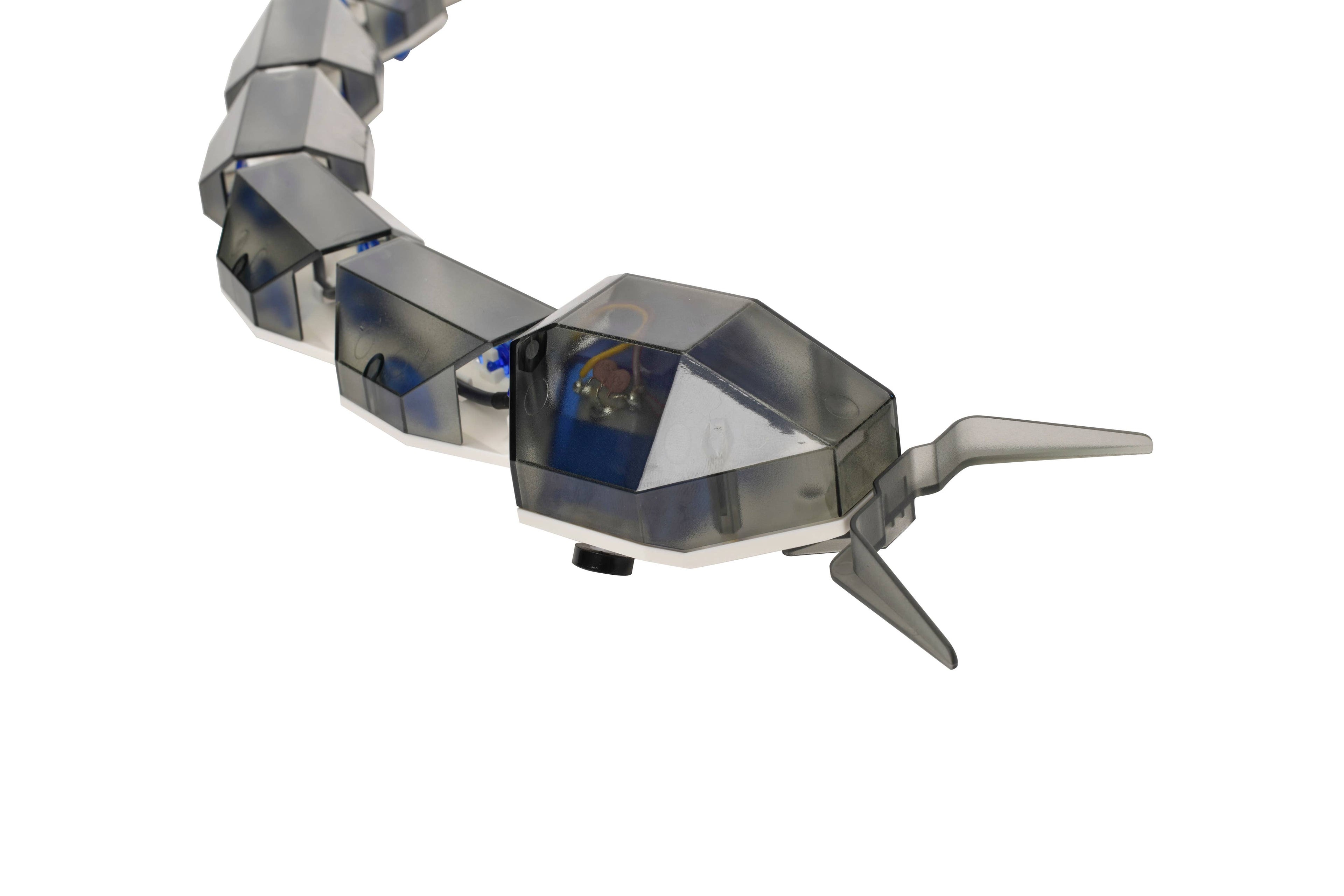 RC Robot Snake - STEM Science Set