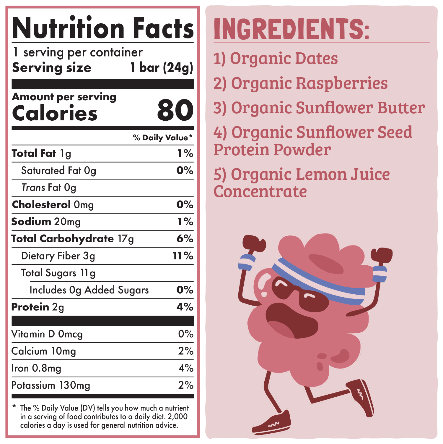 Skout Organic Raspberry Rush Kids Snack Bar | Nut-Free