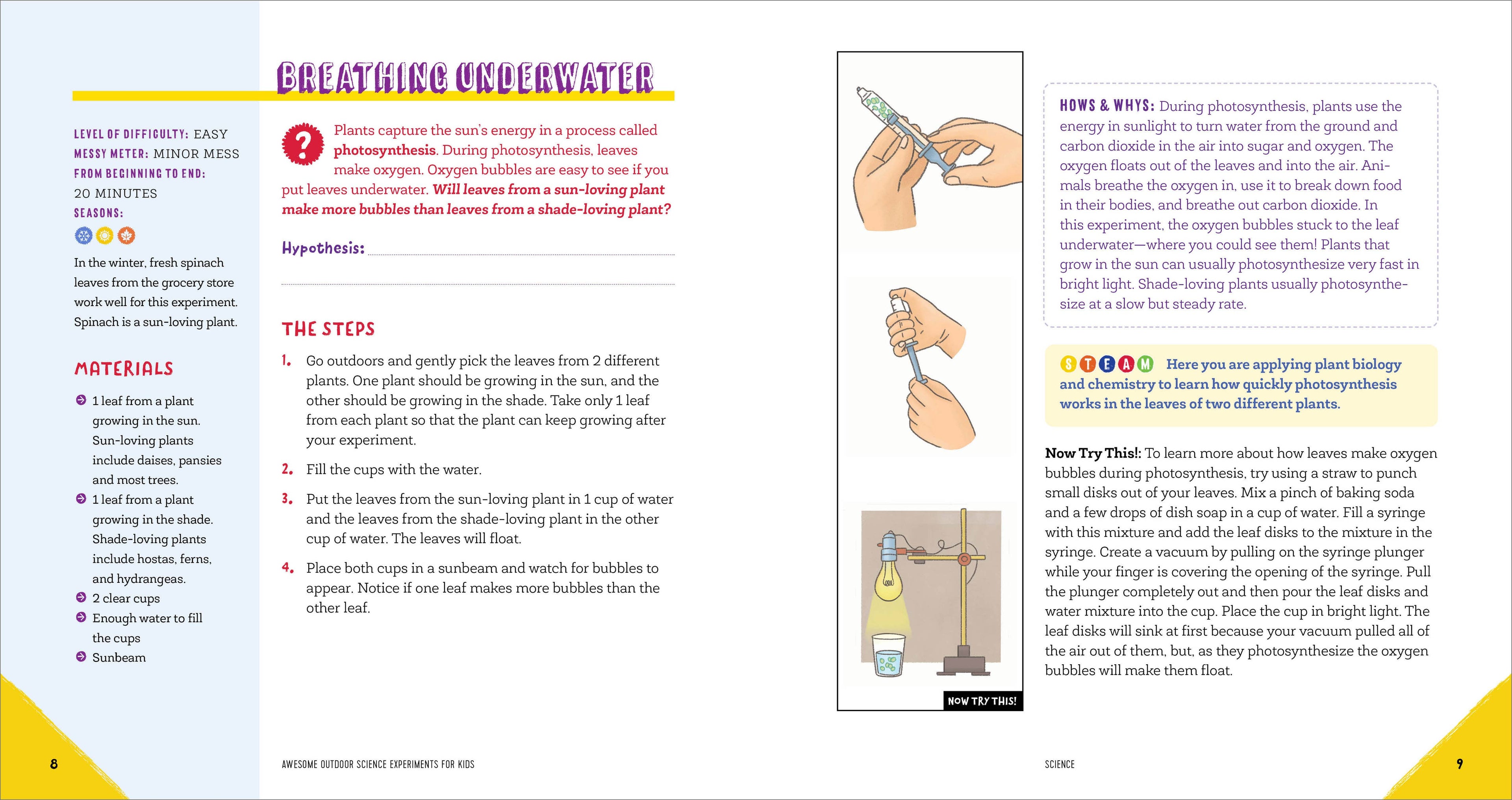 Awesome Outdoor Science Experiments for Kids