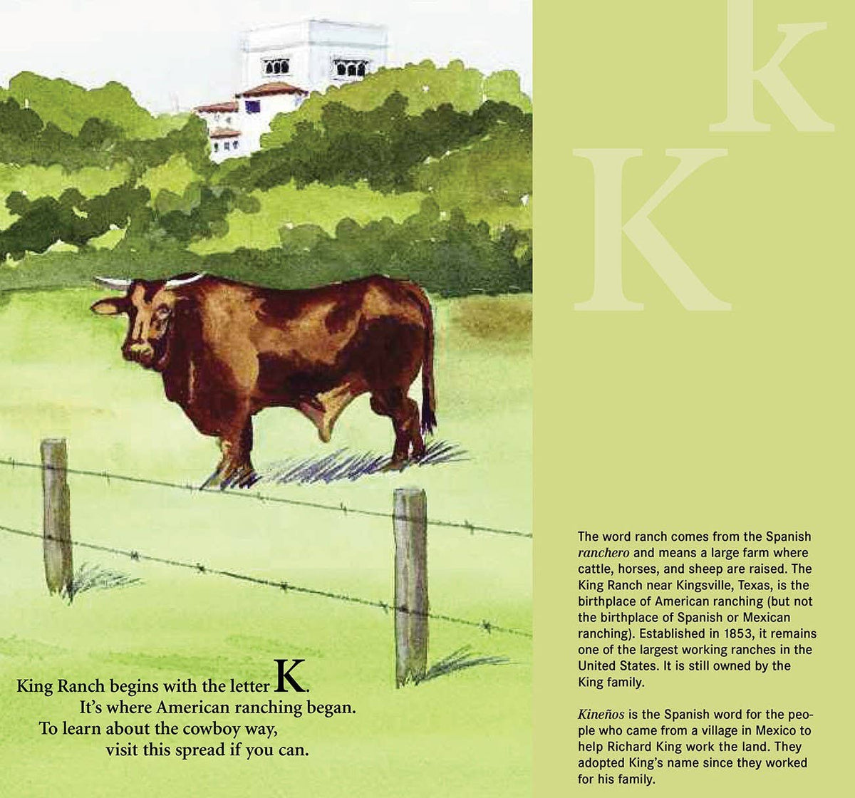 B is for Buckaroo: A Cowboy Alphabet Picture Book