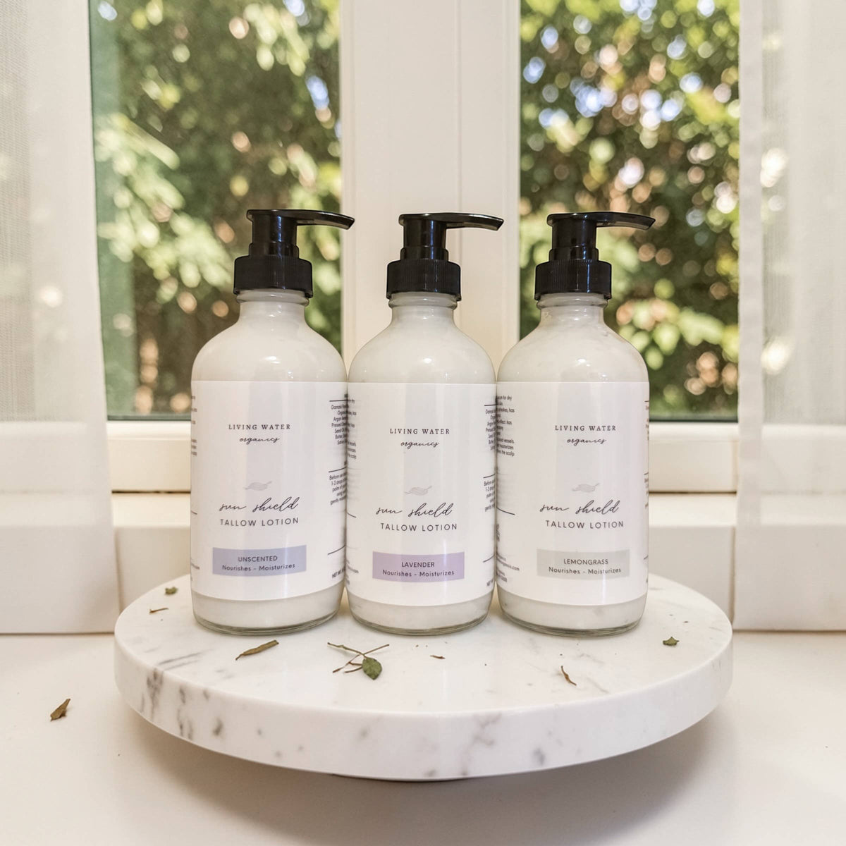 Tallow Sun Shield Lotion