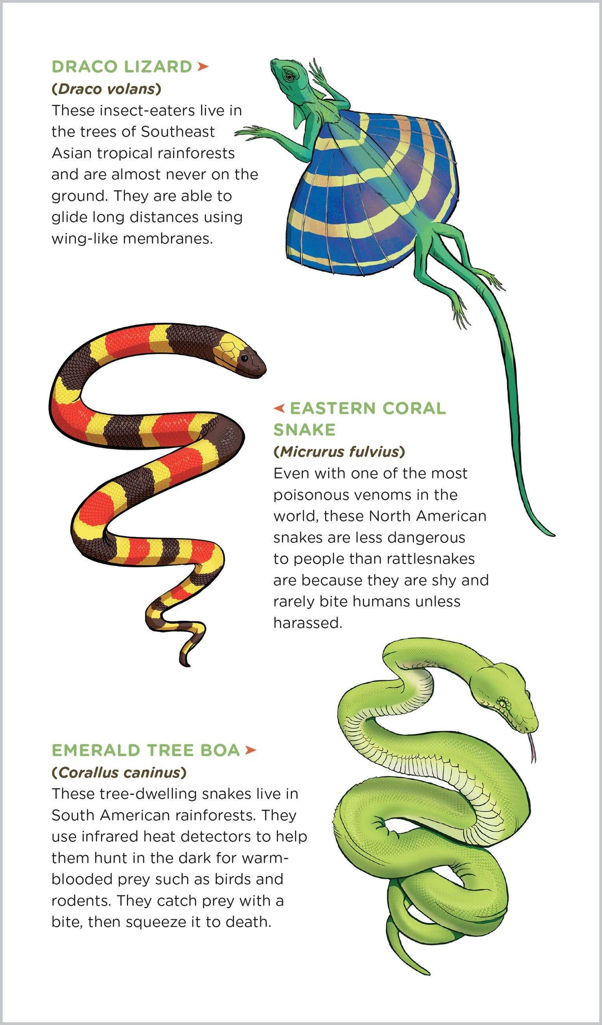 Slithering, Scaly Tattoo Snakes & Other Reptiles