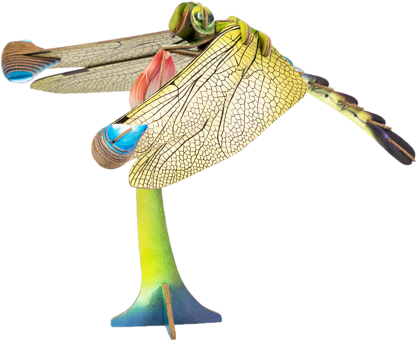 Dragonfly 3D Puzzle - Bring Nature Home