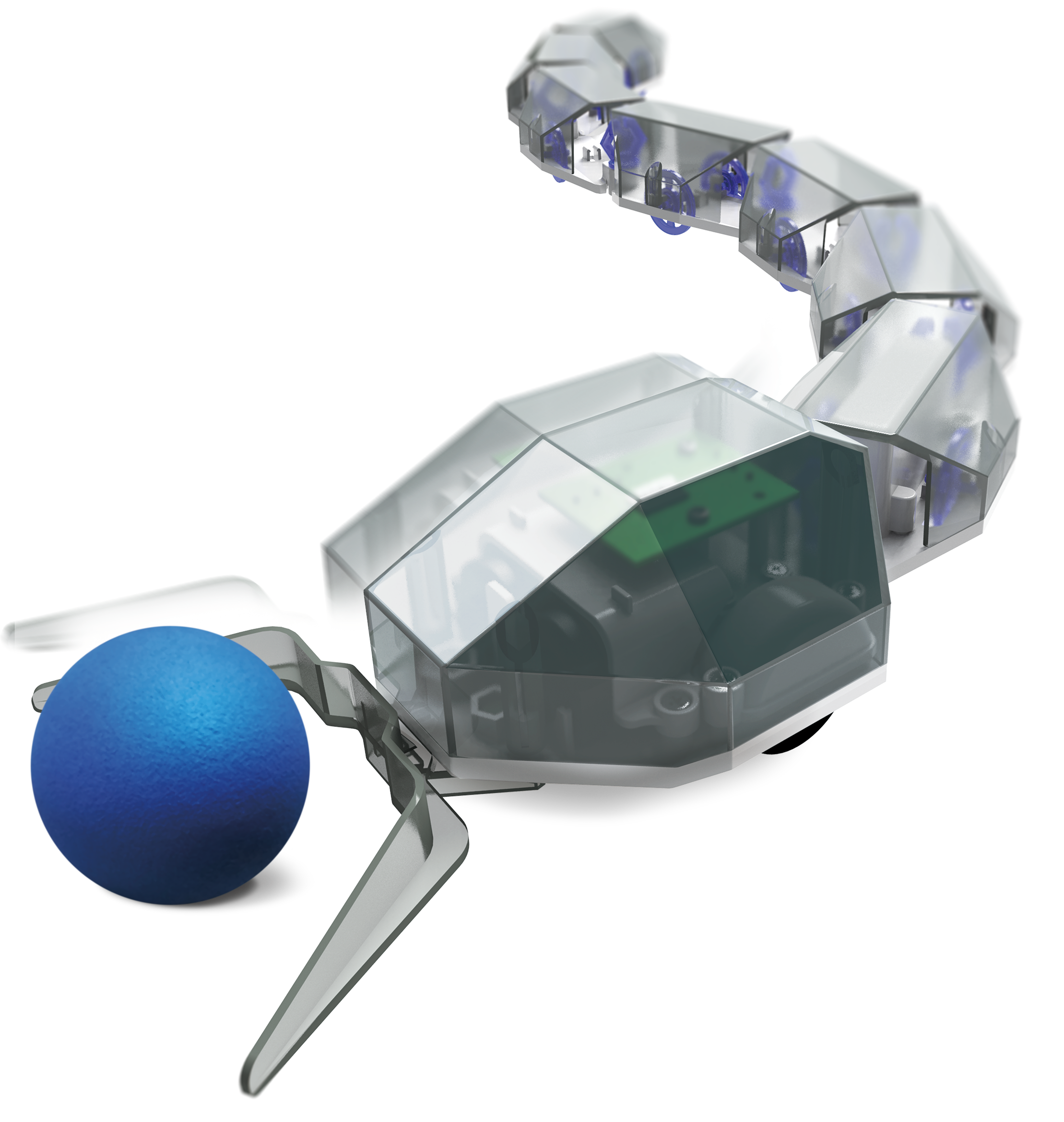 RC Robot Snake - STEM Science Set