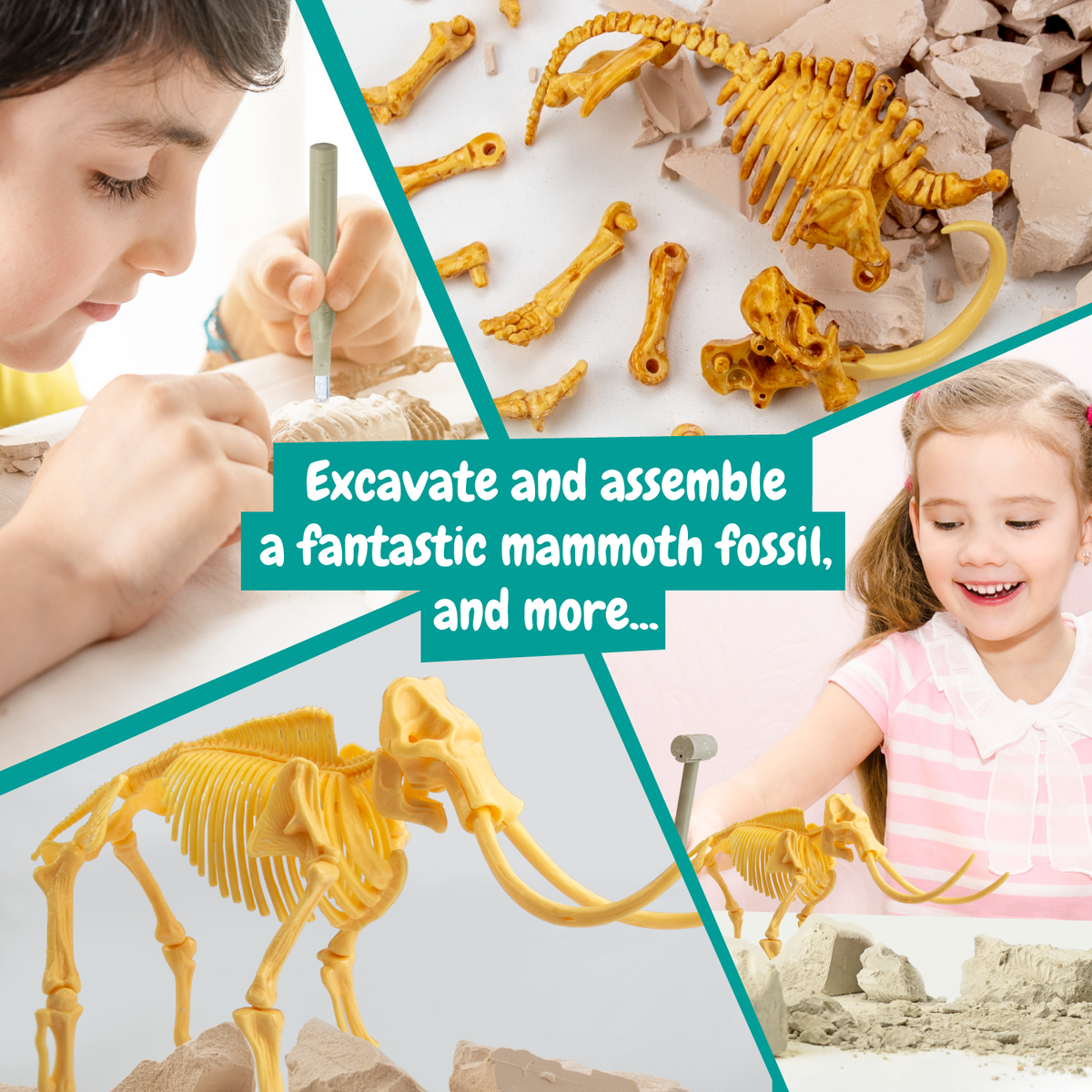 Mammoth Fossil Excavation - Toy for Kids (8 Languages)