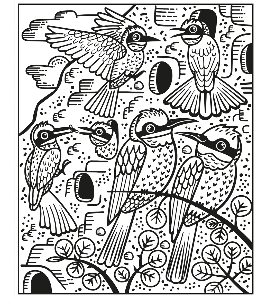 Birds Magic Painting Book : Usborne
