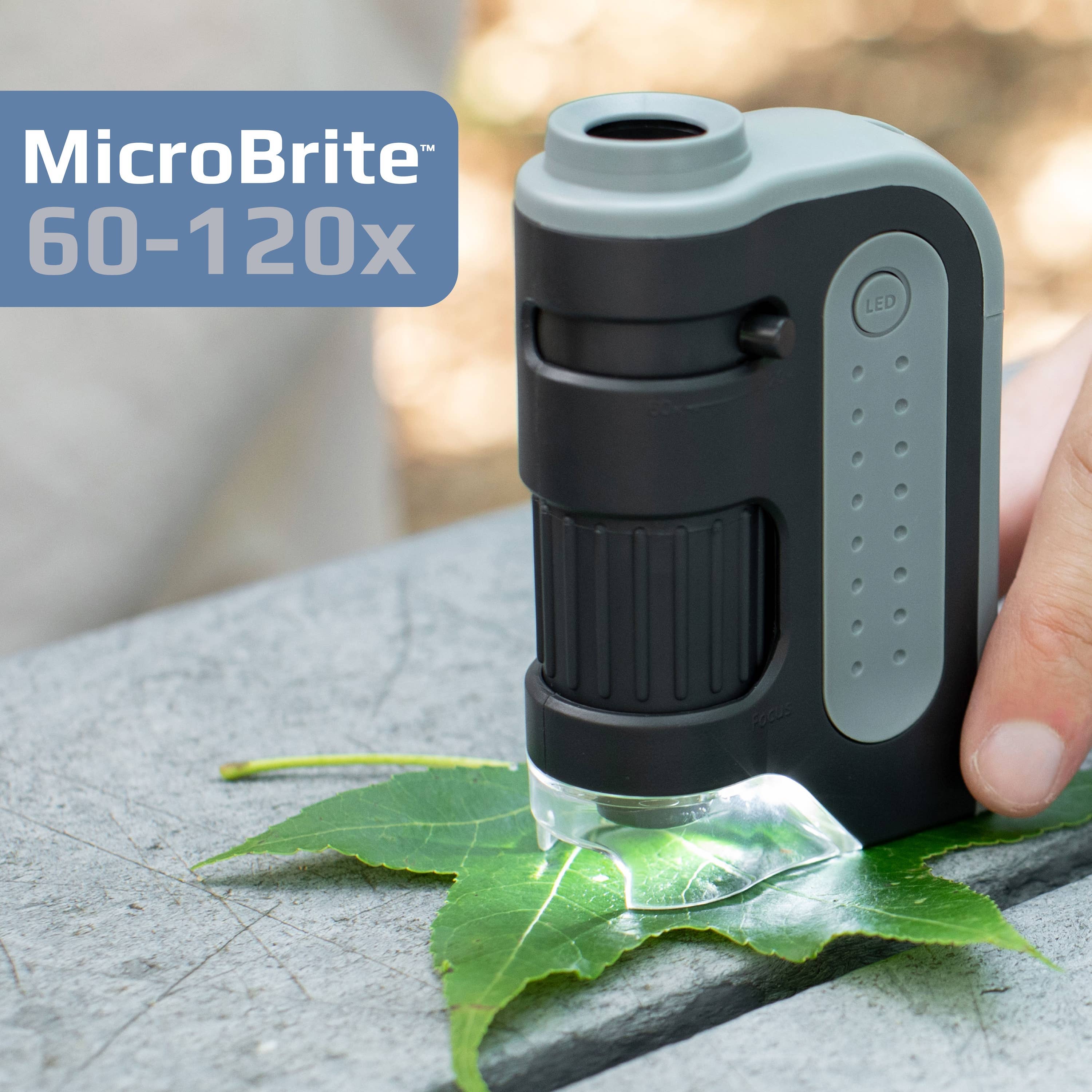 60x-120x Lighted Pocket Microscope, Portable, Educational