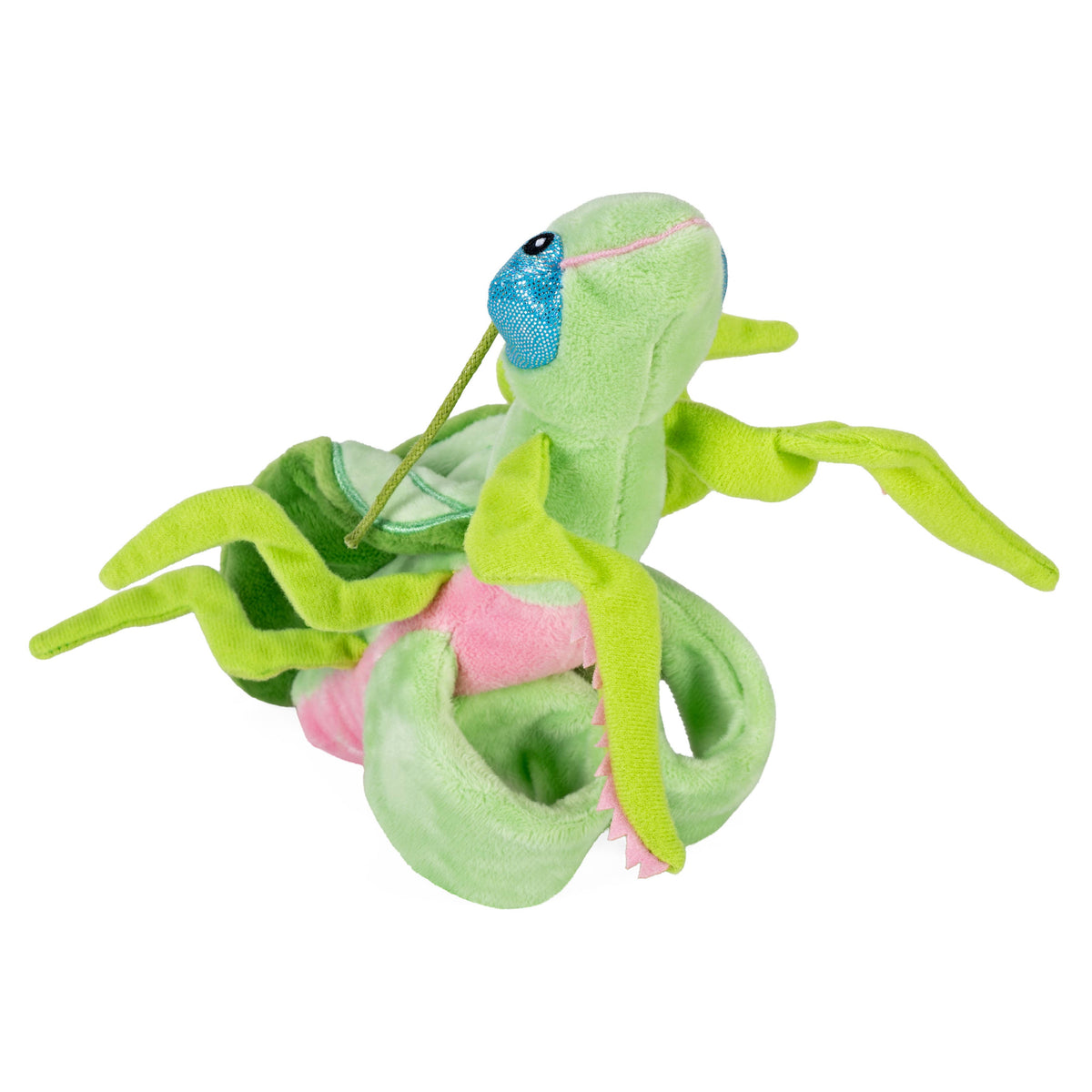 Huggers Praying Mantis