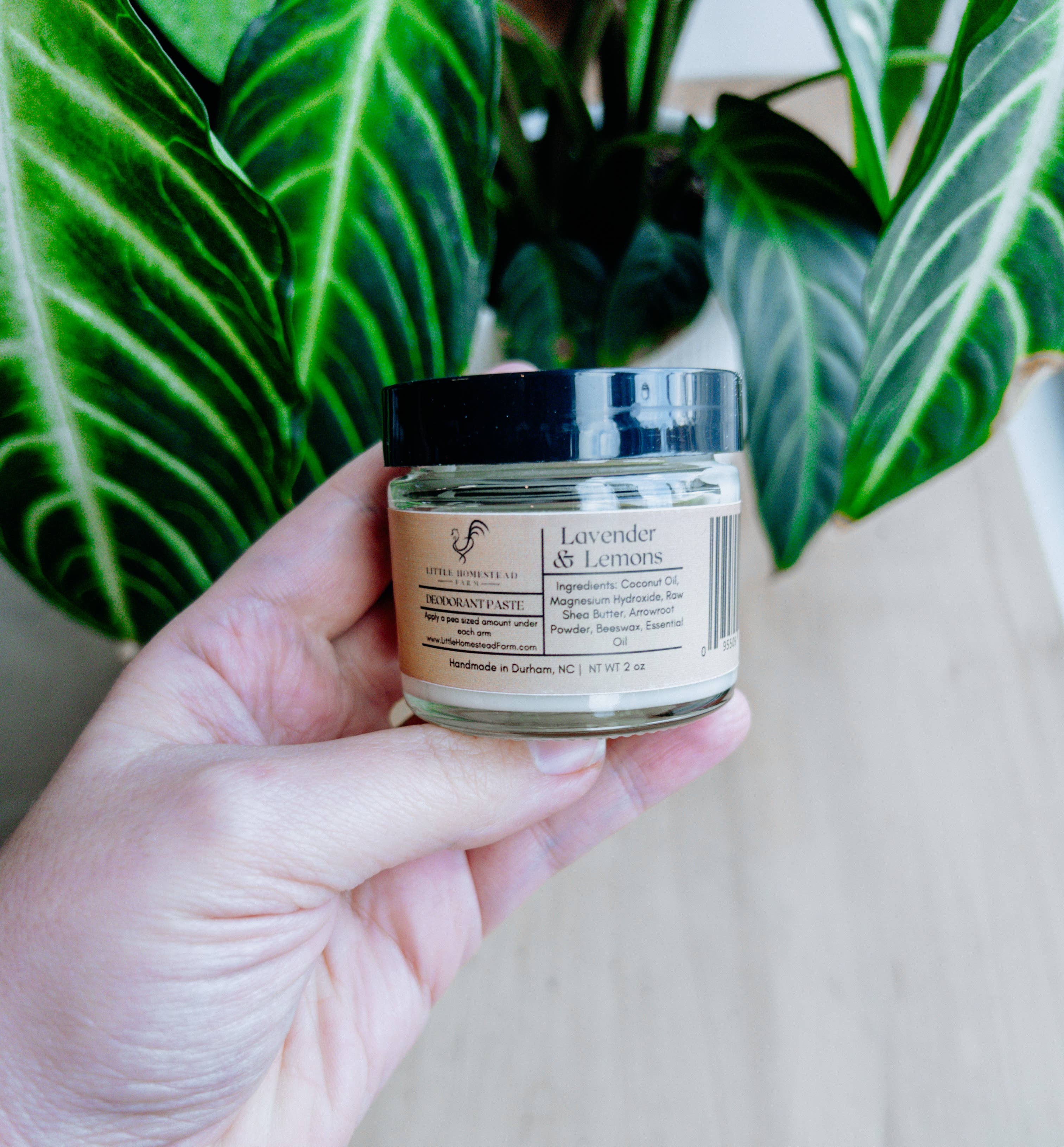 Deodorant Paste