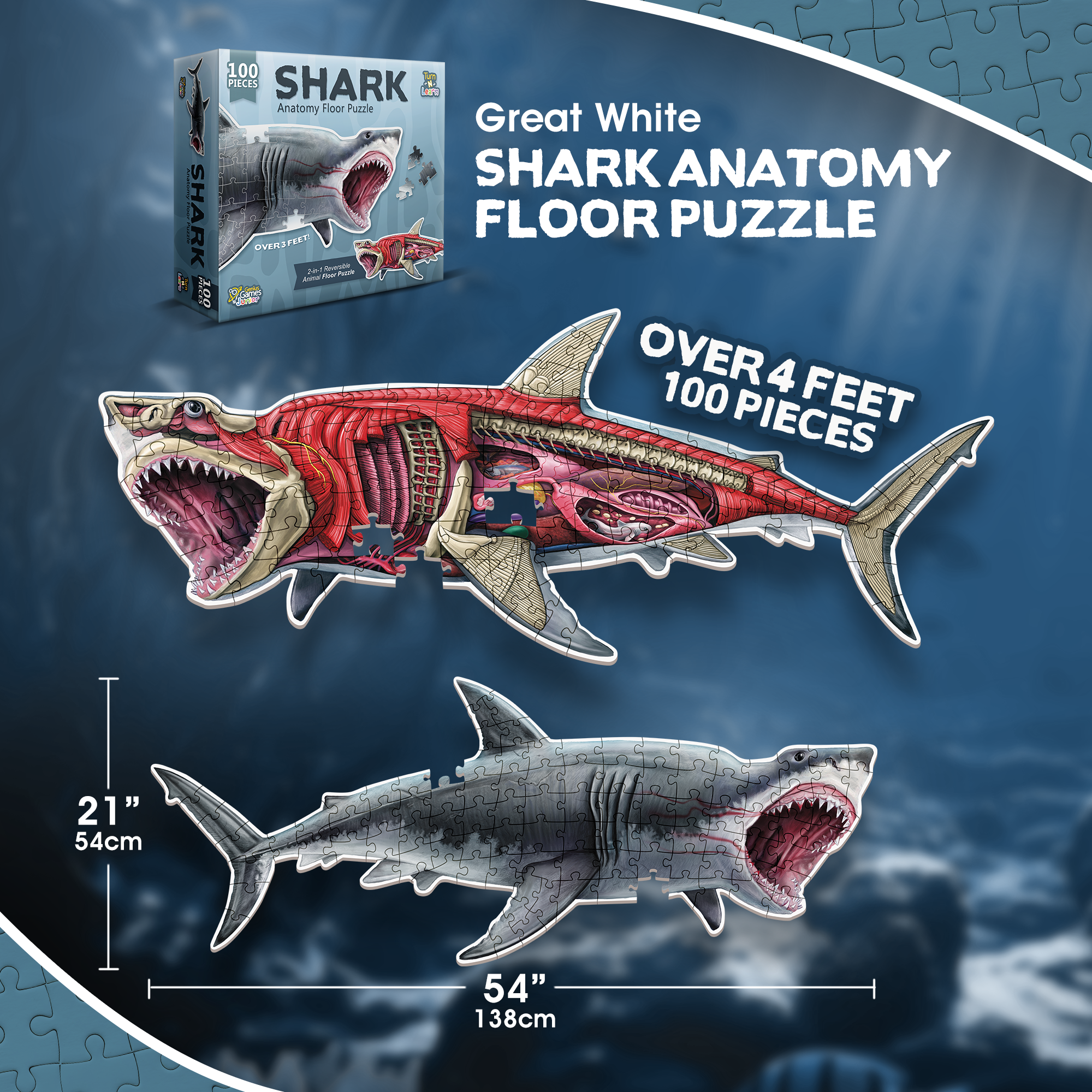 Turn N Learn: Shark Puzzle