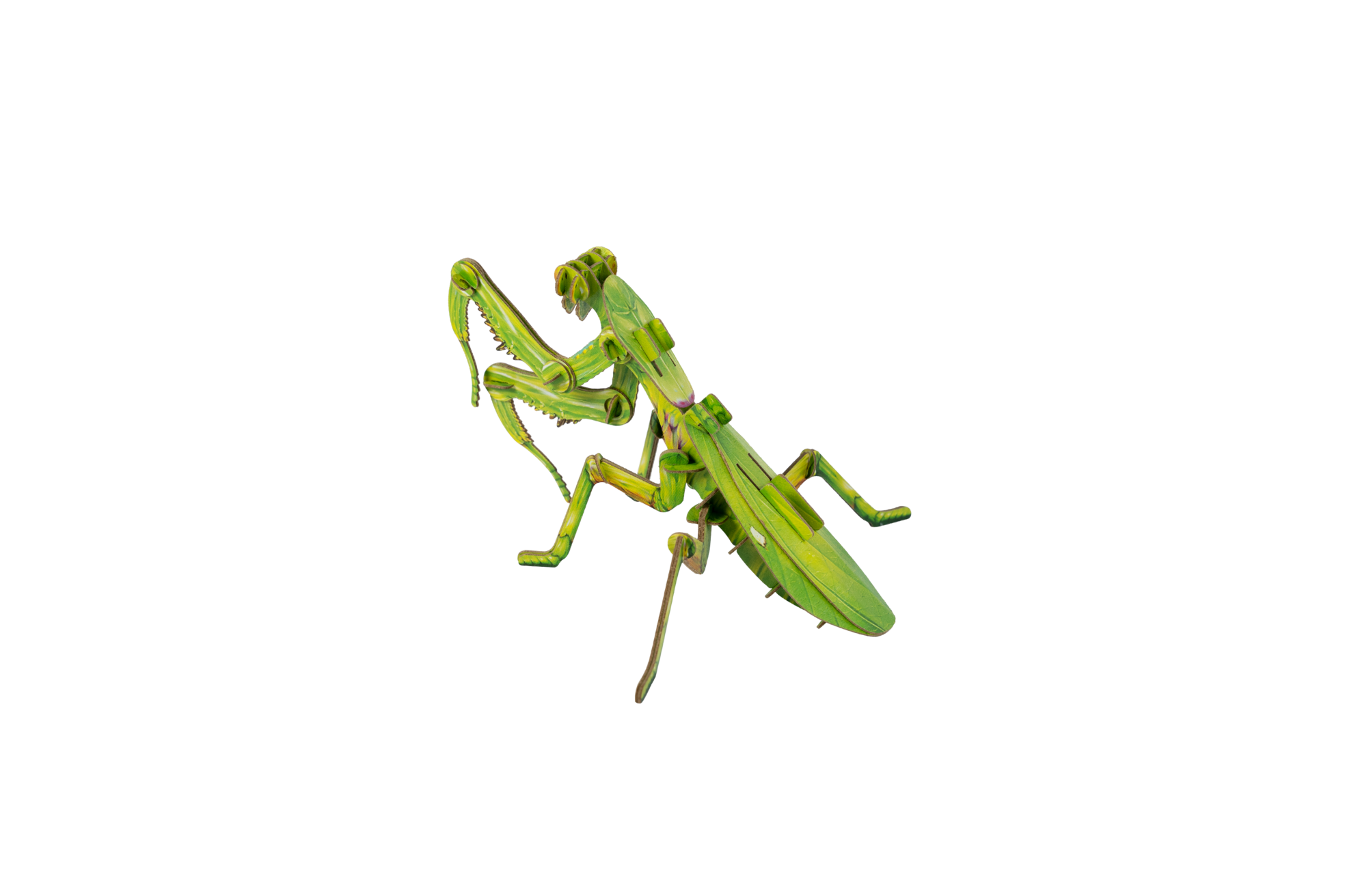 Giant Praying Mantis 3D Kraft Paper Puzzle