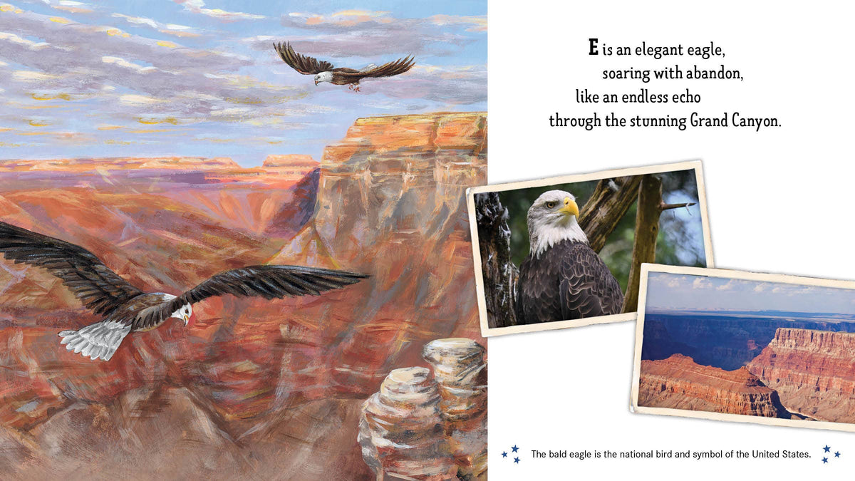 Land of the Free America's ABC Picture Book
