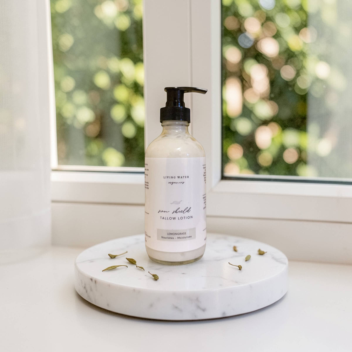 Tallow Sun Shield Lotion