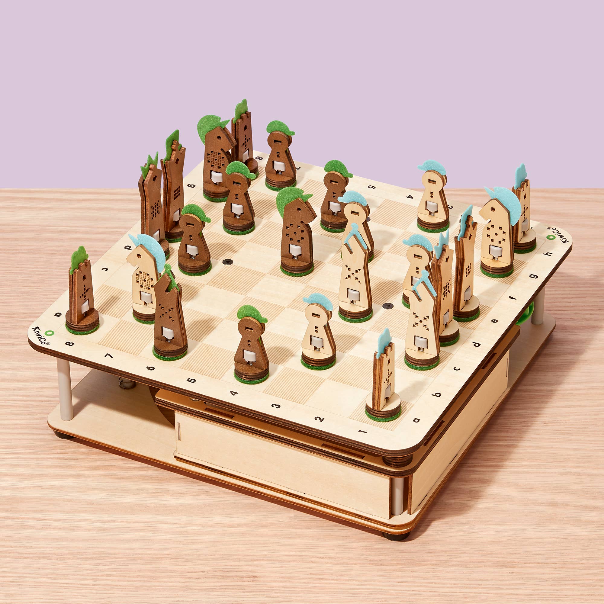 Build & Play Chess Set