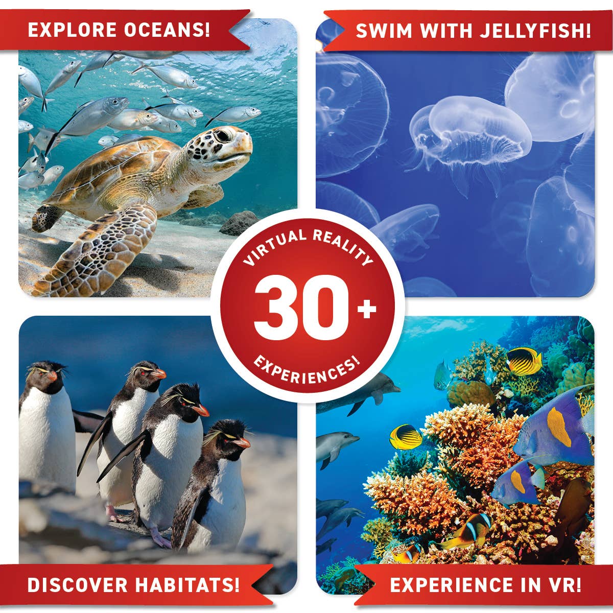 Virtual Reality Discovery Gift Set with DK Book - Oceans!