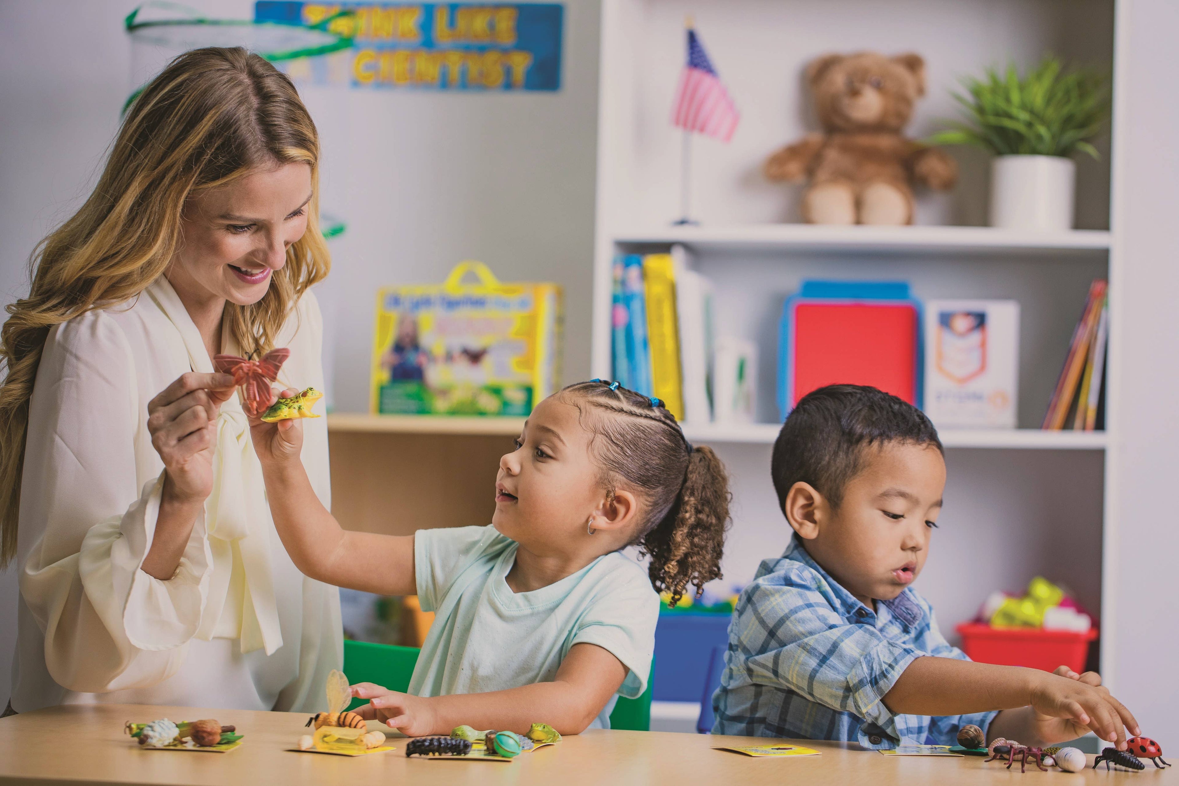 Life Cycle Figurines - 24 Piece Set