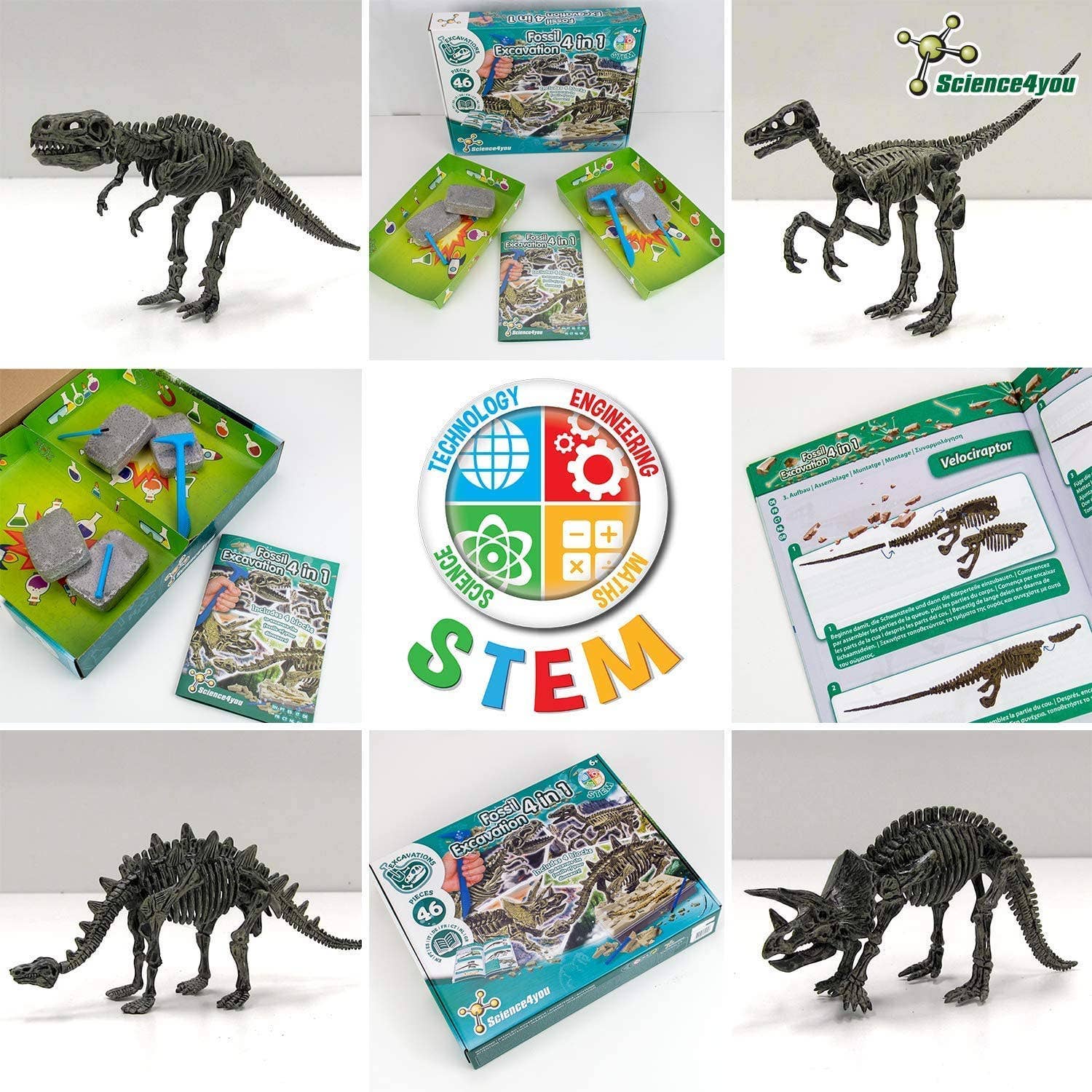 Fossil Excavation 4 in 1