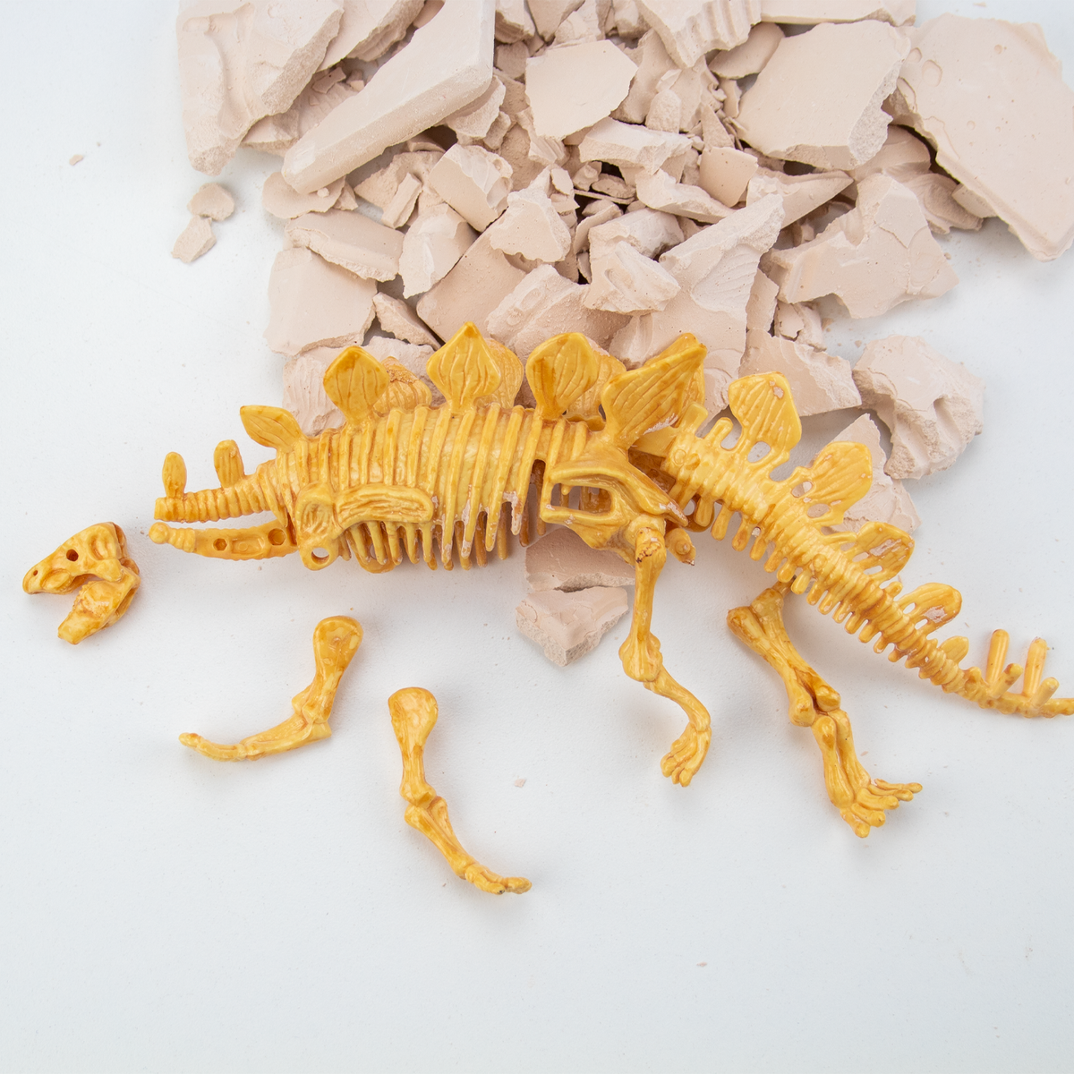 Stegosaurus Fossil Excavation - Toy for Kids (8 Languages)
