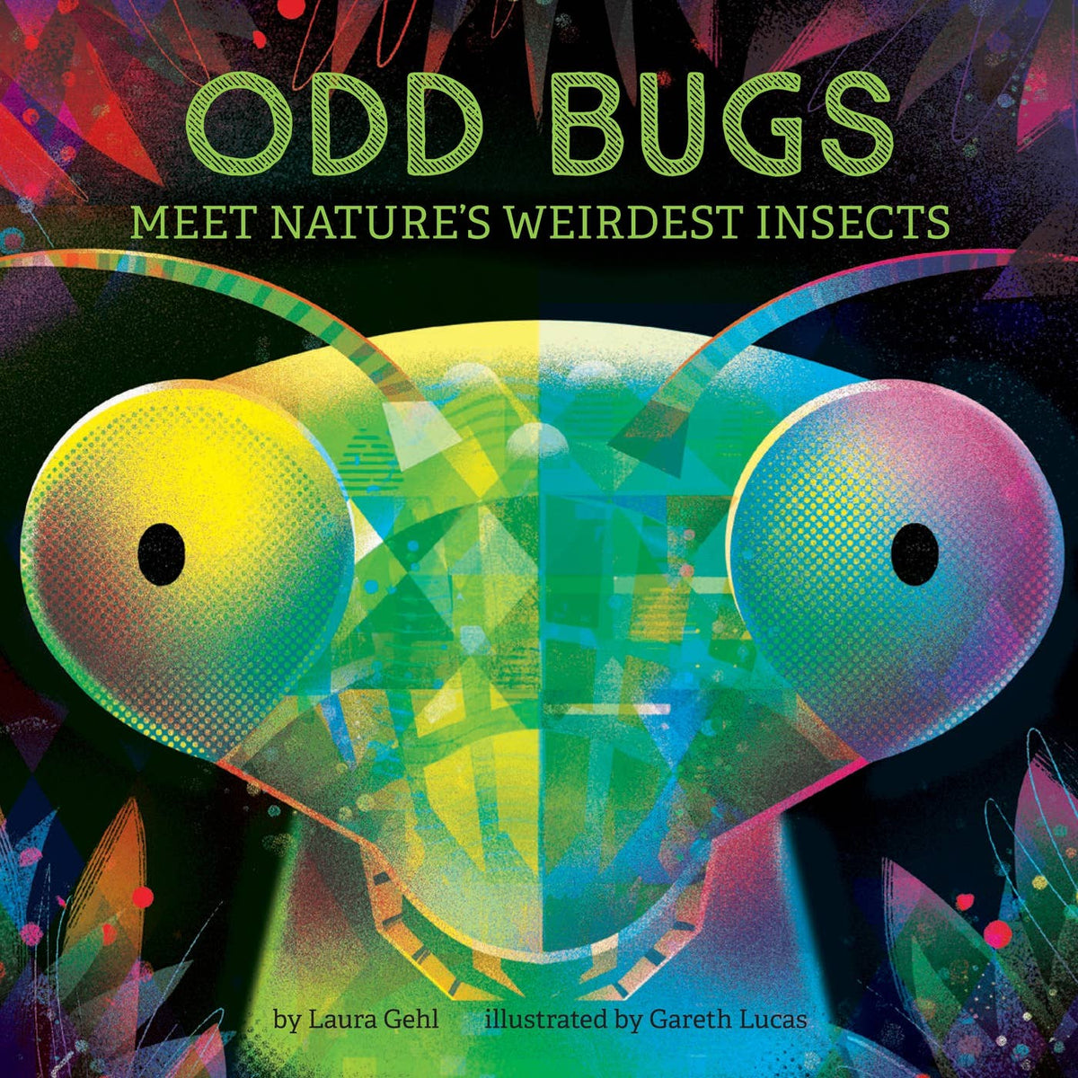 Odd Bugs (A Curious Critters Board Book) (Board)