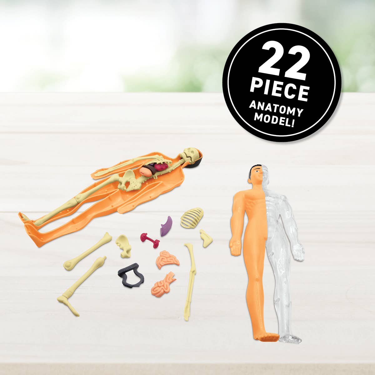 Virtual Reality Discovery Gift Set w/ DK Book - Human Body!