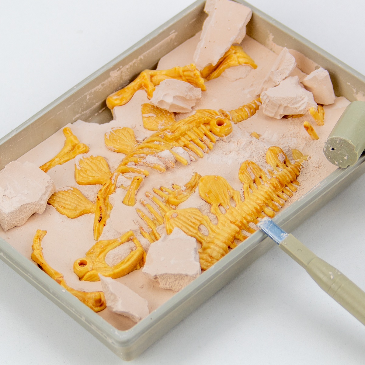 Stegosaurus Fossil Excavation - Toy for Kids (8 Languages)