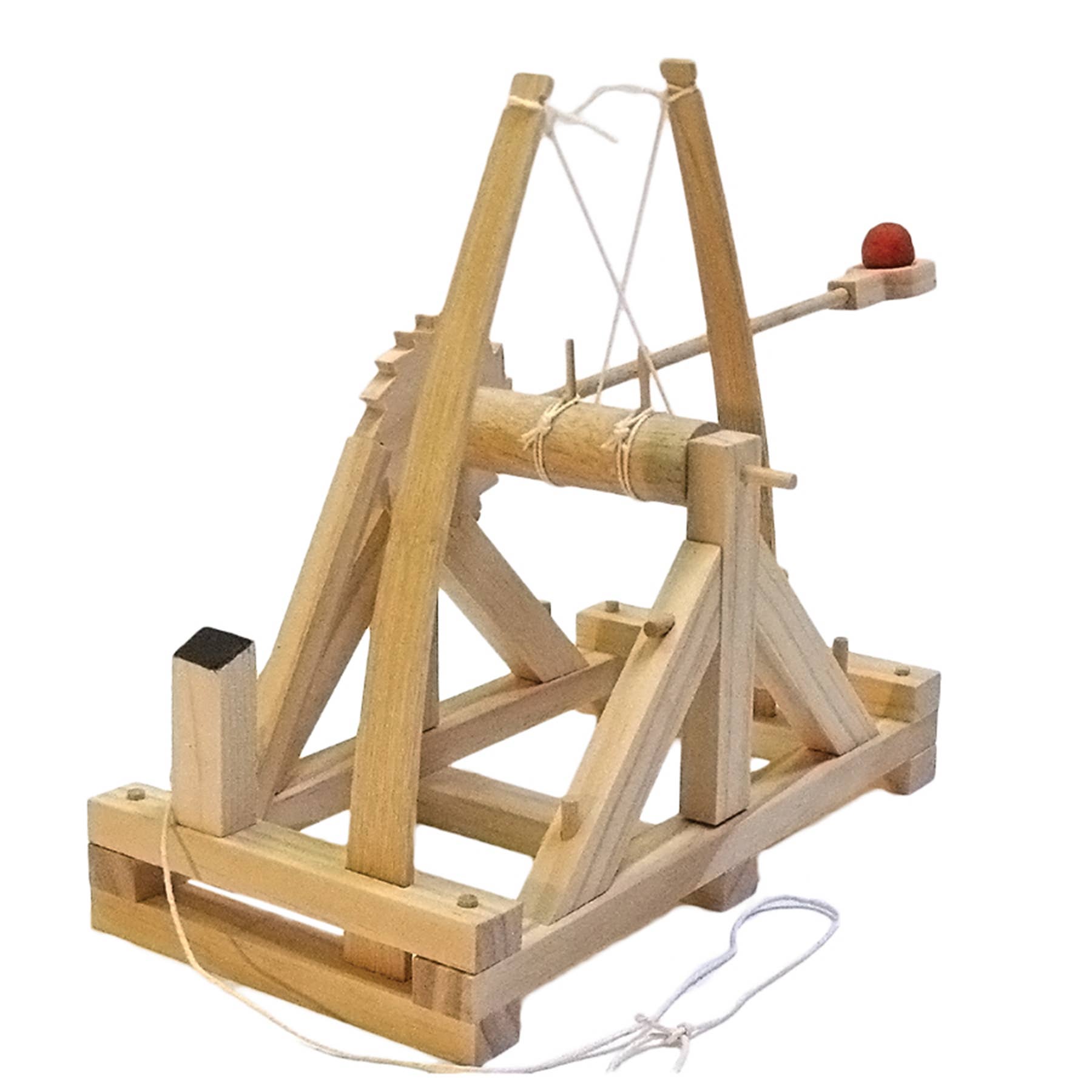Make a Catapult Kit
Wooden Engineering Model Building Kit