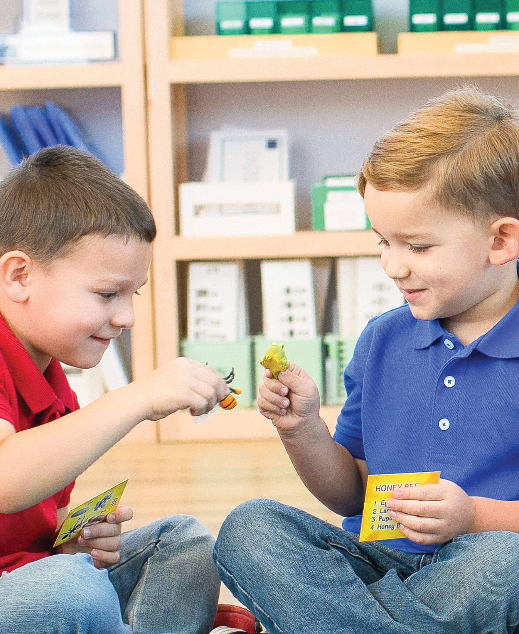 Life Cycle Figurines - 24 Piece Set