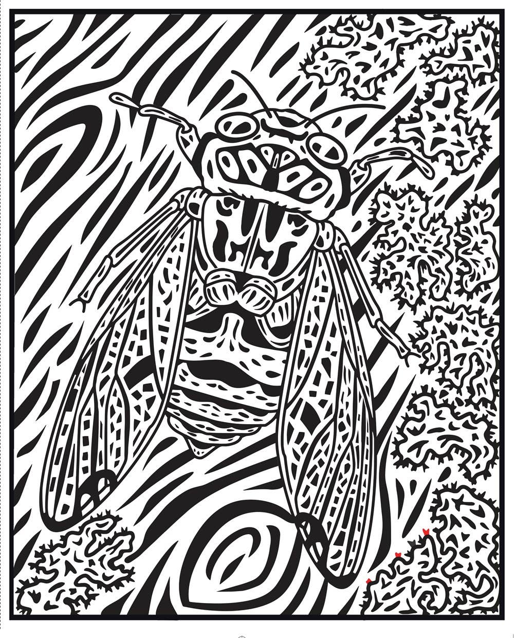 Bugs Magic Painting Book : Usborne