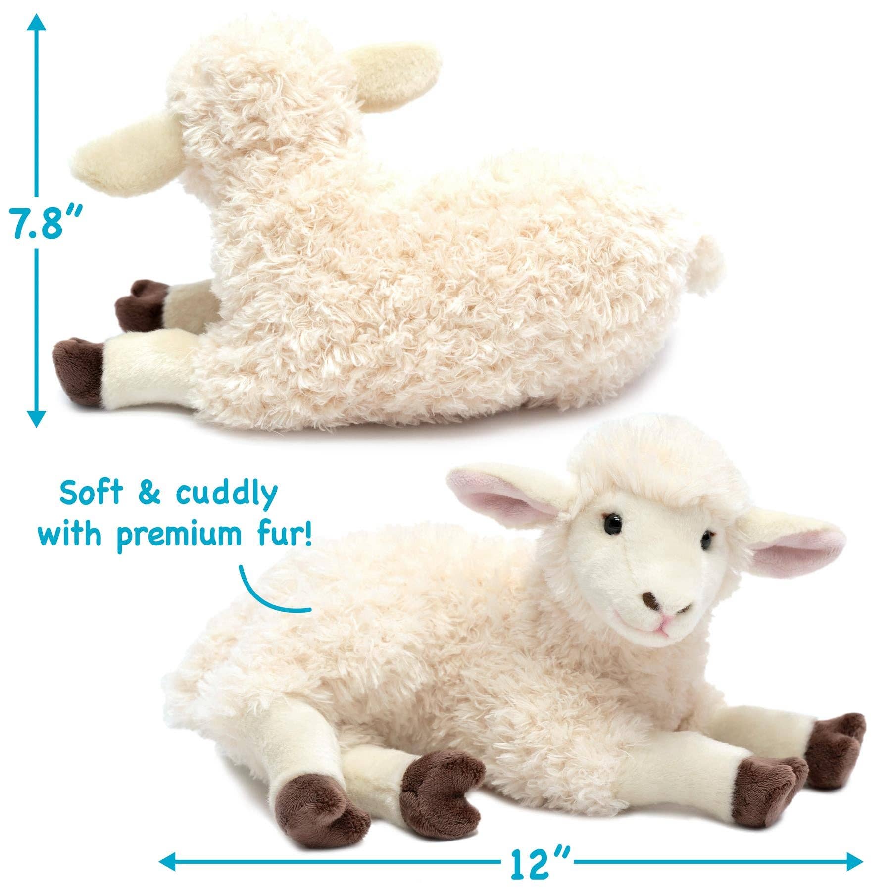 Shooky The Sheep - 13 Inch Stuffed Animal Plush