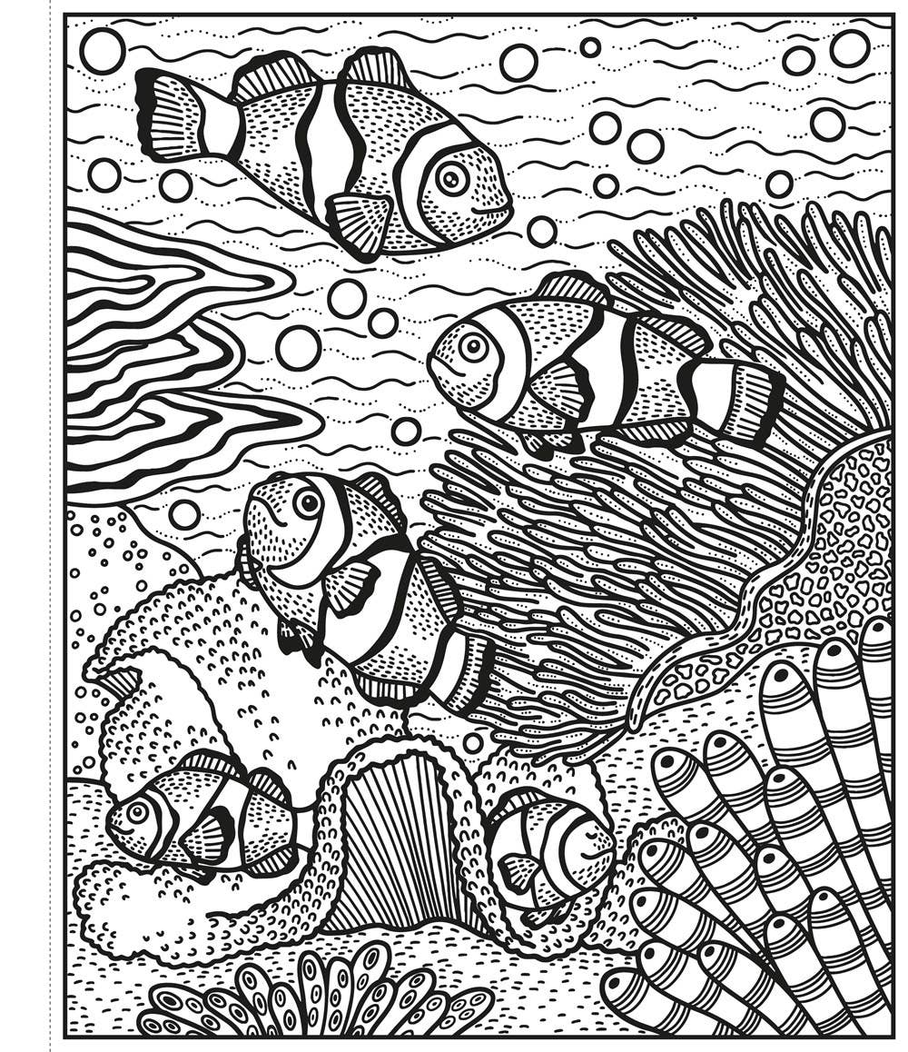 Coral Reef Magic Painting Book : Usborne