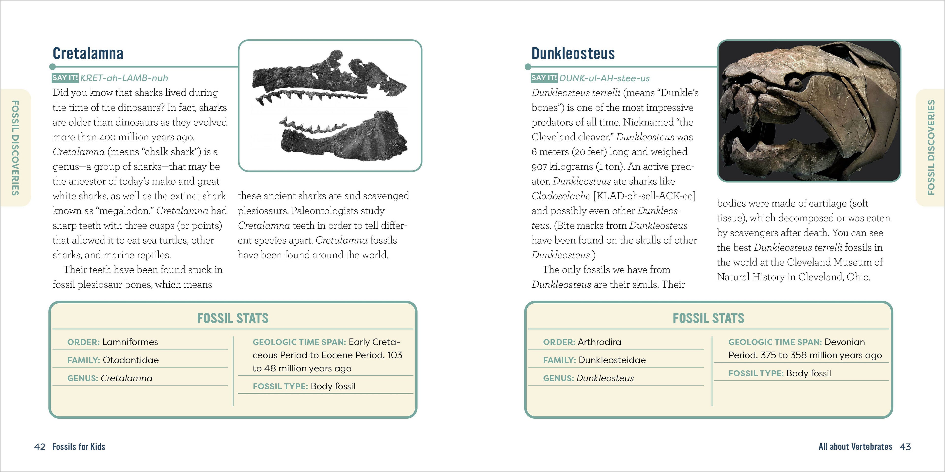 Fossils for Kids