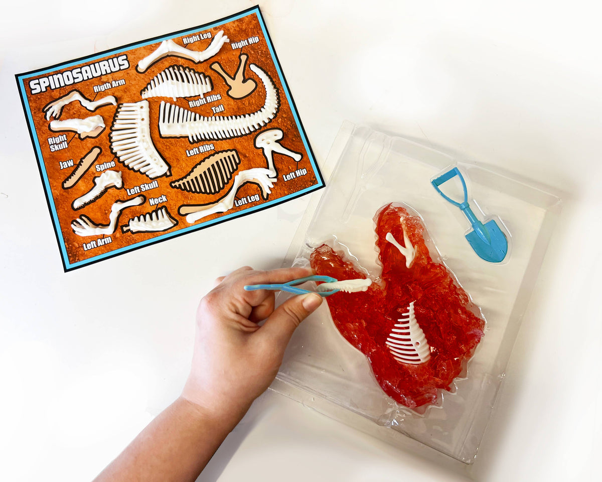 Discover-It Dissect It Dinosaur Dig