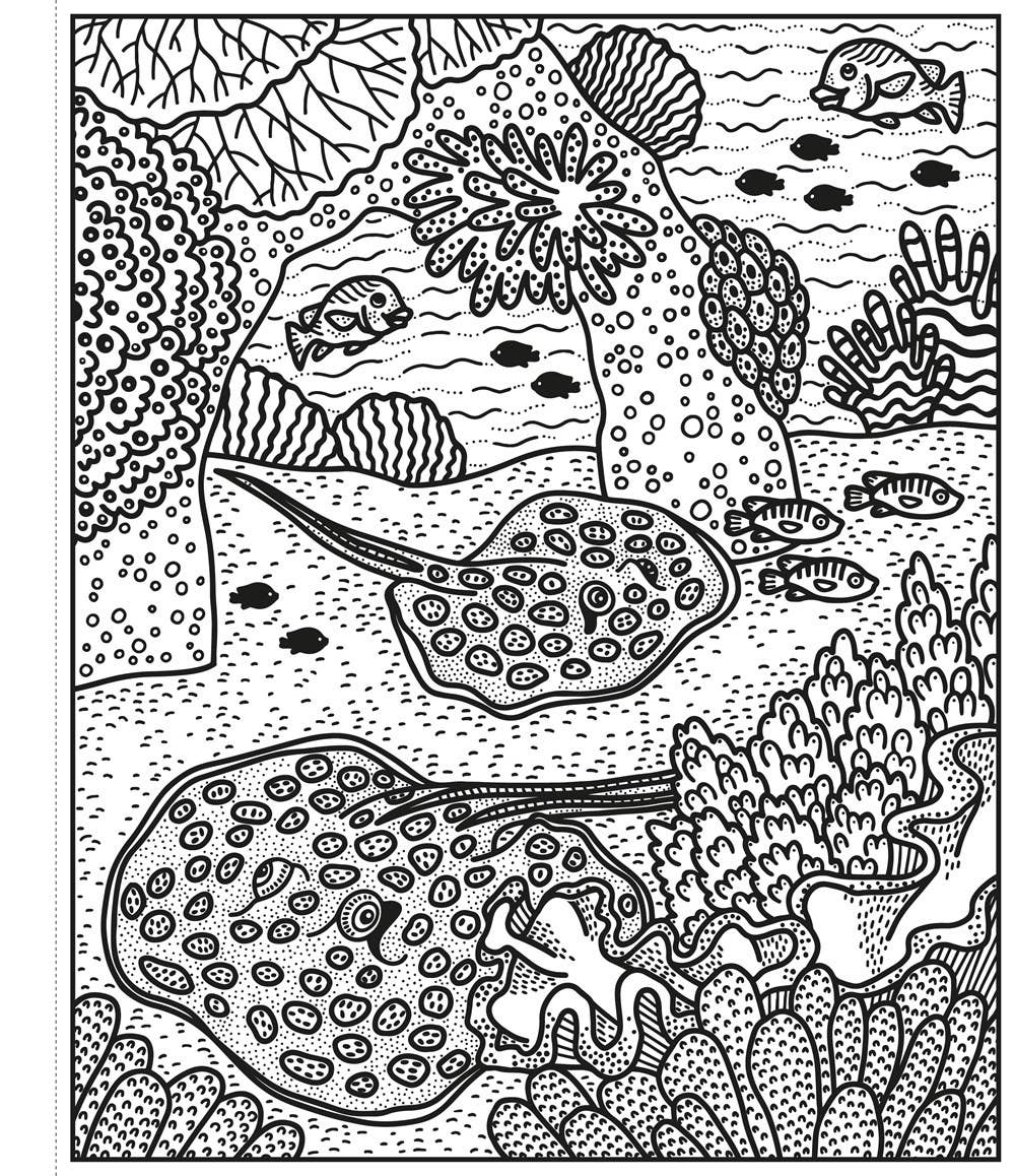 Coral Reef Magic Painting Book : Usborne