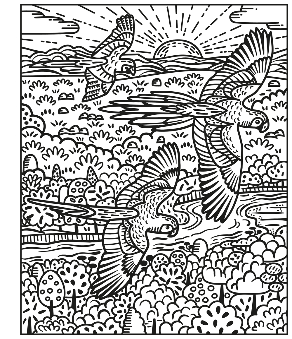 Birds Magic Painting Book : Usborne