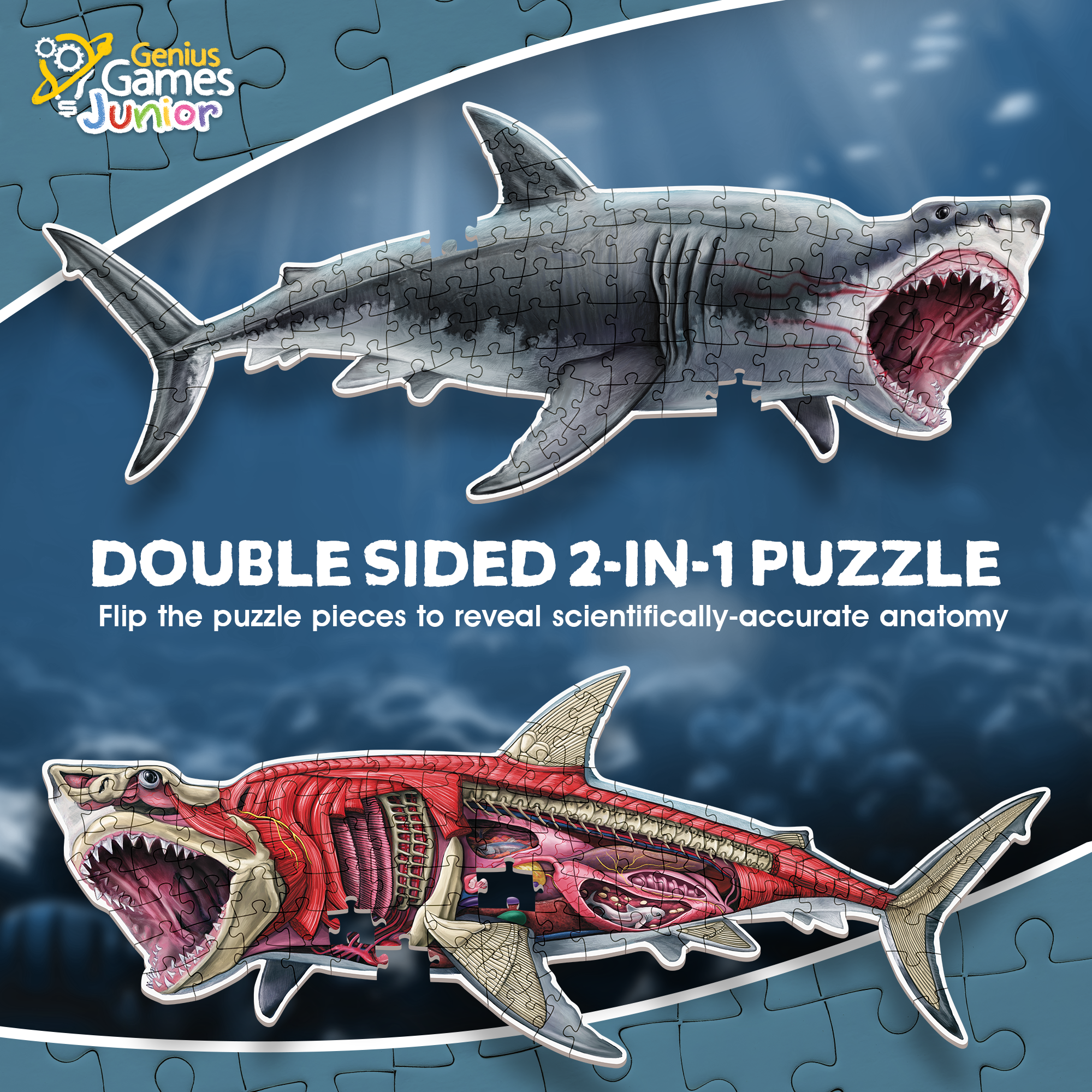 Turn N Learn: Shark Puzzle